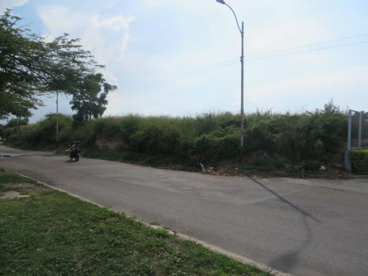 Foto Terreno en Venta en Maracay, Aragua - BsF 300.000.000 - TEV91391 - BienesOnLine