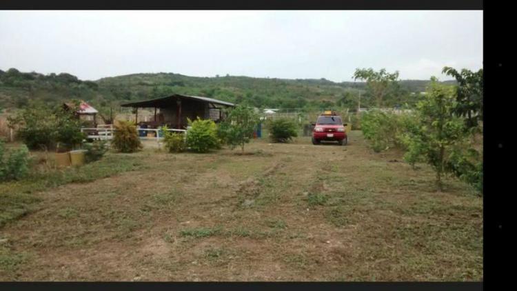 Foto Terreno en Venta en San Felipe, Yaracuy - BsF 17.000.000 - TEV78065 - BienesOnLine