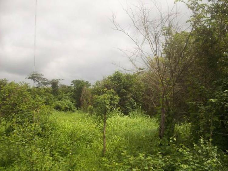 Foto Terreno en Venta en Cabudare, Lara - BsF 7.000.000 - TEV78062 - BienesOnLine