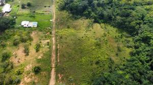 VENTA DE TERRENO EN FUNDO SABANA DEL MEDIO, TOCUYITO, BARRERA.