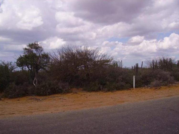 Foto Terreno en Venta en Punto Fijo, Falcn - TEV87647 - BienesOnLine