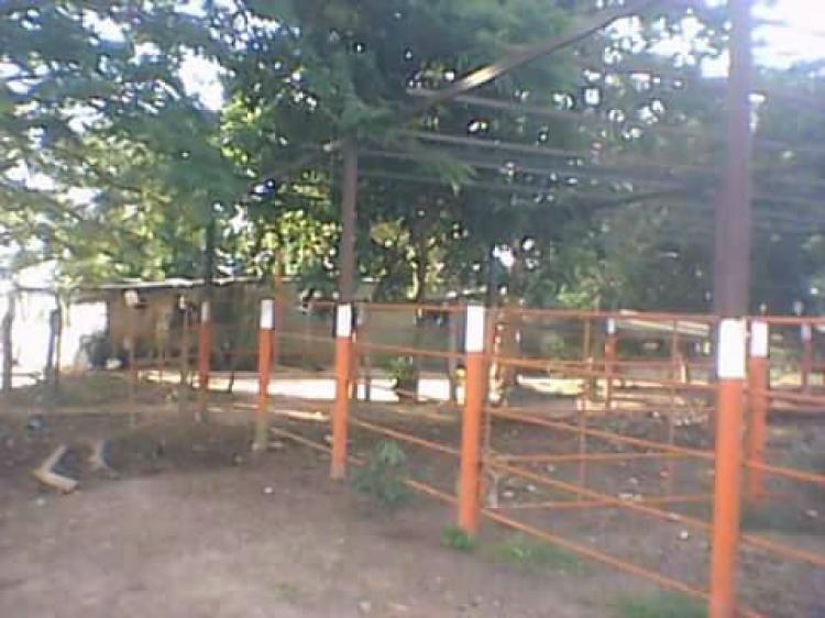 Foto Finca en Venta en VA SAN SILVESTRE A 45 MINUTOS DE BARINAS, Barinas, Barinas - 26 hectareas - BsF 95.000.000 - FIV99639 - BienesOnLine