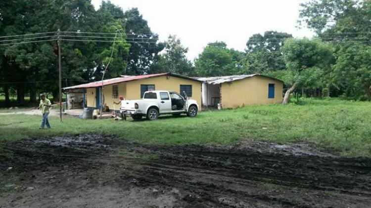 Foto Finca en Venta en BARRANCAS ESTADO BARINAS, Barinas, Barinas - 75 hectareas - BsF 300.000.000 - FIV99637 - BienesOnLine