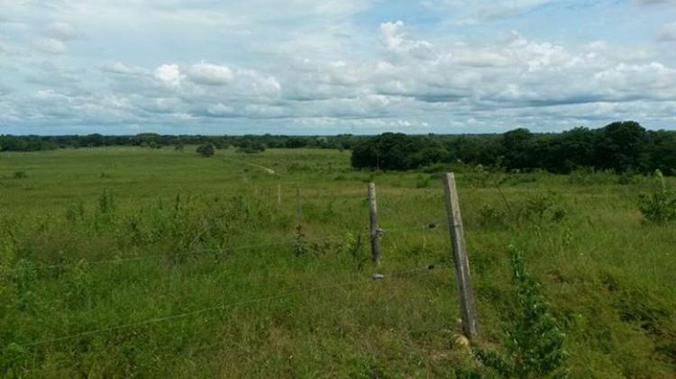 Foto Finca en Venta en Barinas, Barinas - BsF 5.950.000 - FIV101583 - BienesOnLine