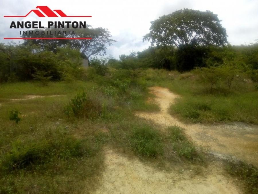 Foto Terreno en Venta en Cabudare, Cabudare, Lara - BsF 1.000 - TEV120016 - BienesOnLine