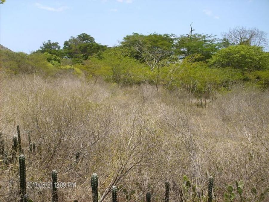 Foto Terreno en Venta en Girardot, Choroni, Aragua - U$D 130.000 - TEV140264 - BienesOnLine